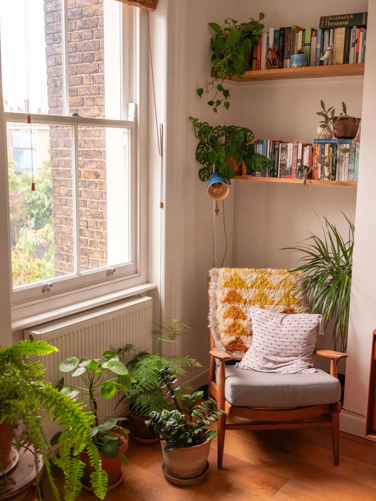 Bright furnished corner with plants